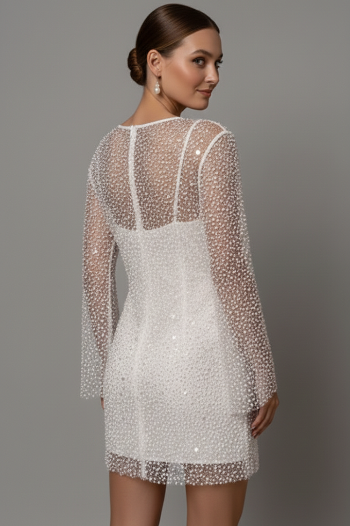 Women's Long Sleeve Mesh Overlay Mini Dress – Embellished Party & Evening Dress
